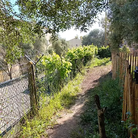 Appartement Flat 2 Bedroom With 2 Bathrooms Garden Porto-vecchio Center