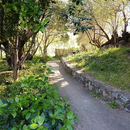 Appartement Flat 2 Bedroom With 2 Bathrooms Garden Porto-vecchio Center *