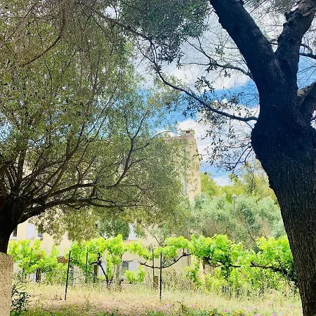 Appartement Flat 2 Bedroom With 2 Bathrooms Garden Porto-vecchio Center Porto-Vecchio (Corsica)