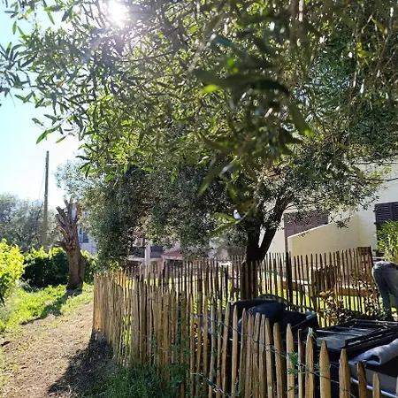 Flat 2 Bedroom With 2 Bathrooms Garden Porto-vecchio Center Appartement